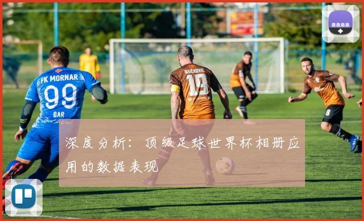 深度分析：顶级足球世界杯相册应用的数据表现