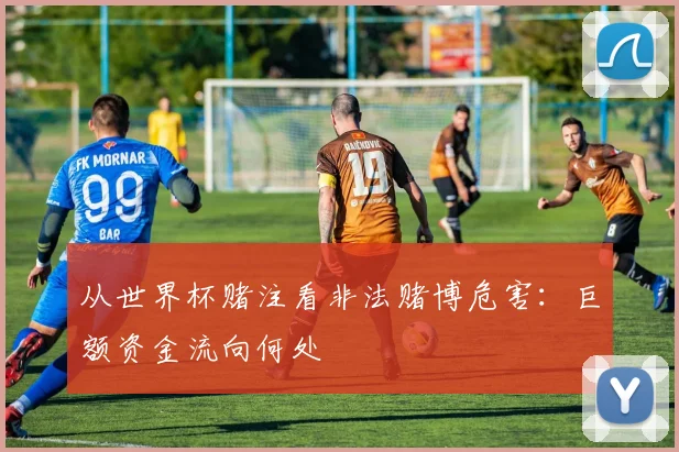 从世界杯赌注看非法赌博危害:巨额资金流向何处