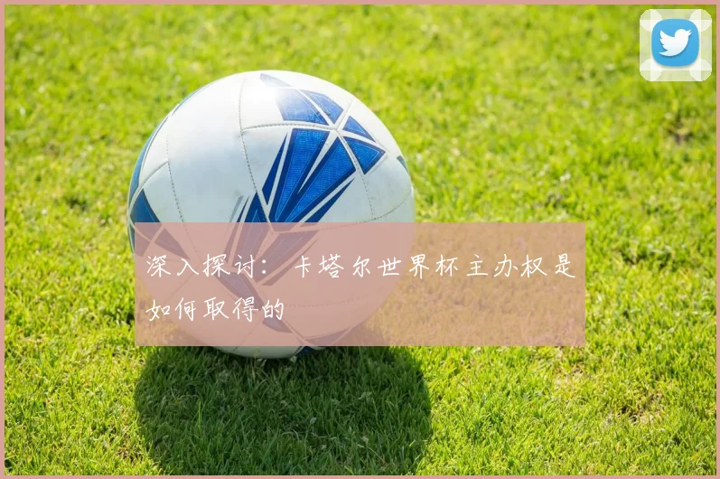 深入探讨:卡塔尔世界杯主办权是如何取得的