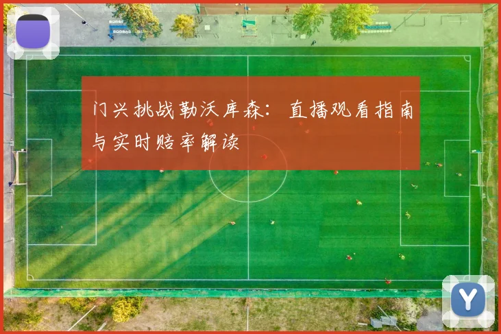门兴挑战勒沃库森：直播观看指南与实时赔率解读