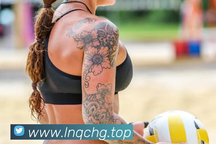 emc体育官网首页平台生态图